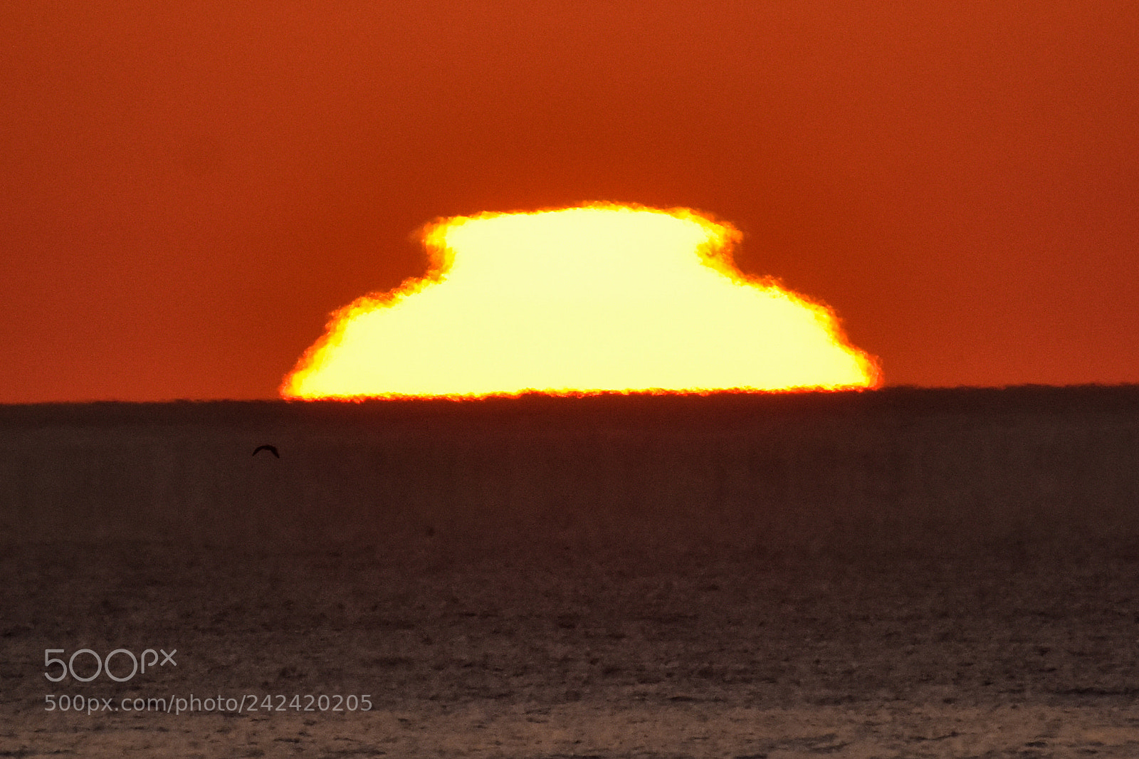 Nikon D7200 sample photo. Sunsets - 3 photography