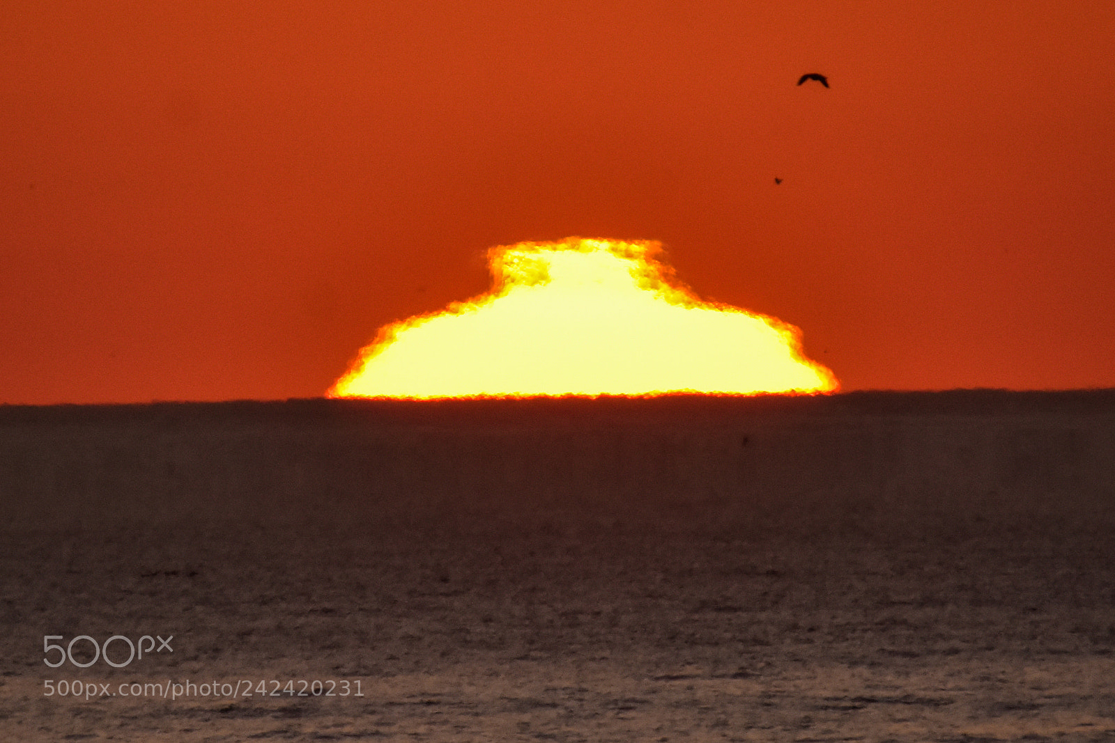 Nikon D7200 sample photo. Sunsets - 4 photography