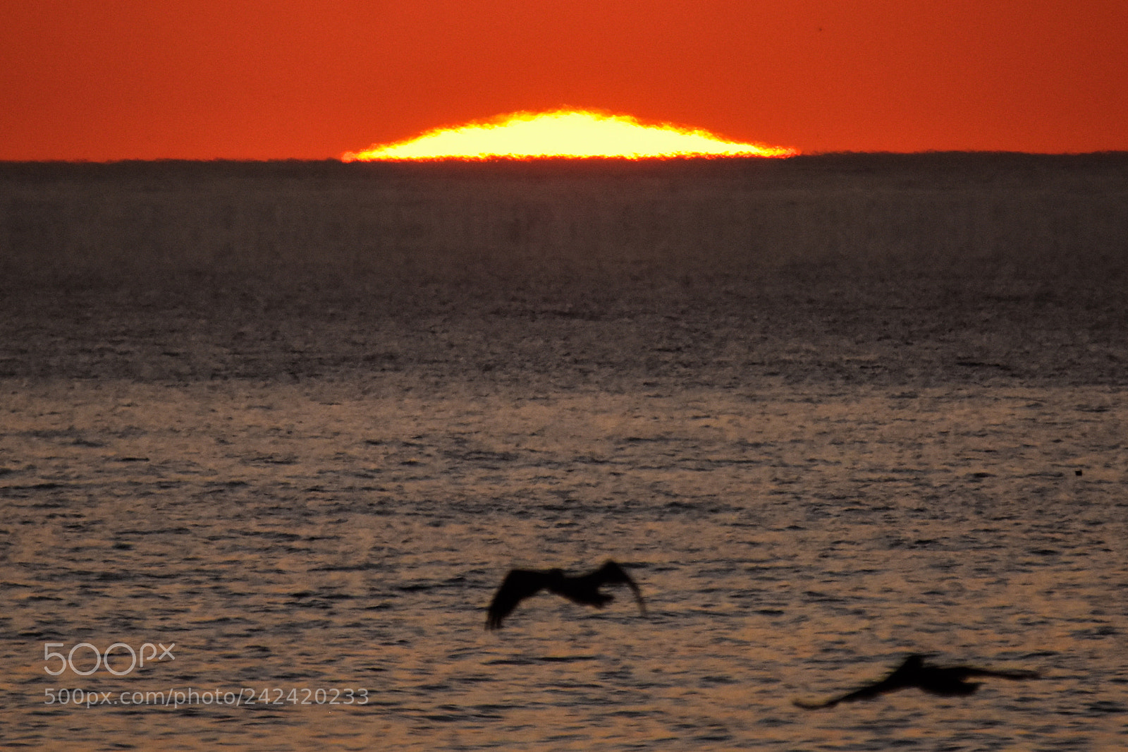 Nikon D7200 sample photo. Sunsets - 6 photography