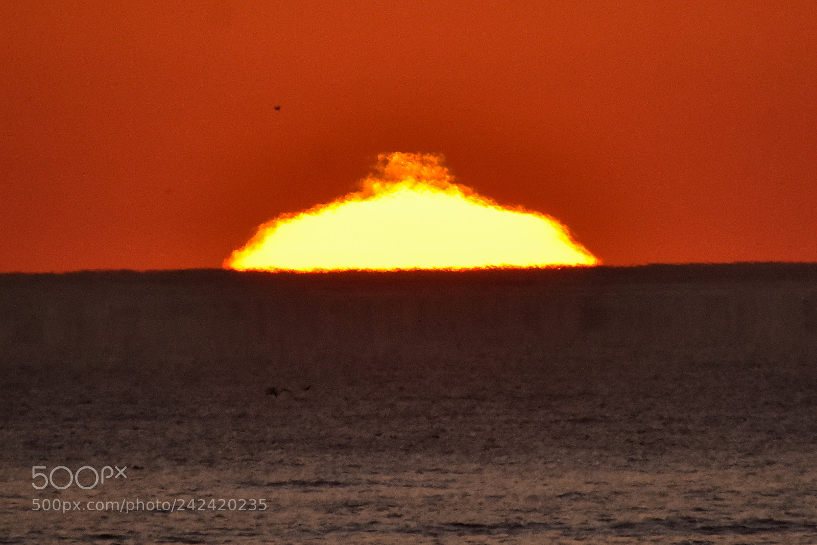 Nikon D7200 sample photo. Sunsets - 5 photography