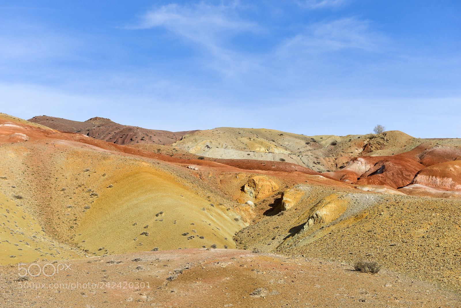Nikon D800E sample photo. Altai mars photography