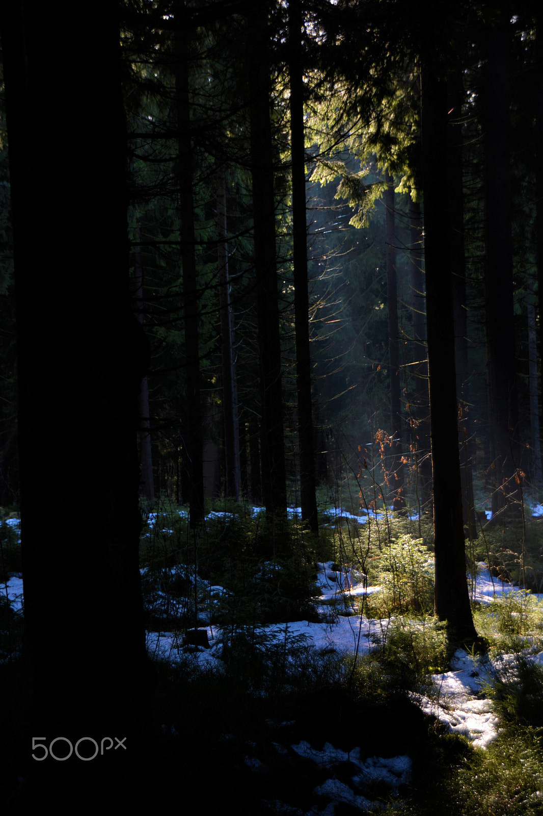 Sigma 18-250mm F3.5-6.3 DC Macro OS HSM sample photo. A magic place photography