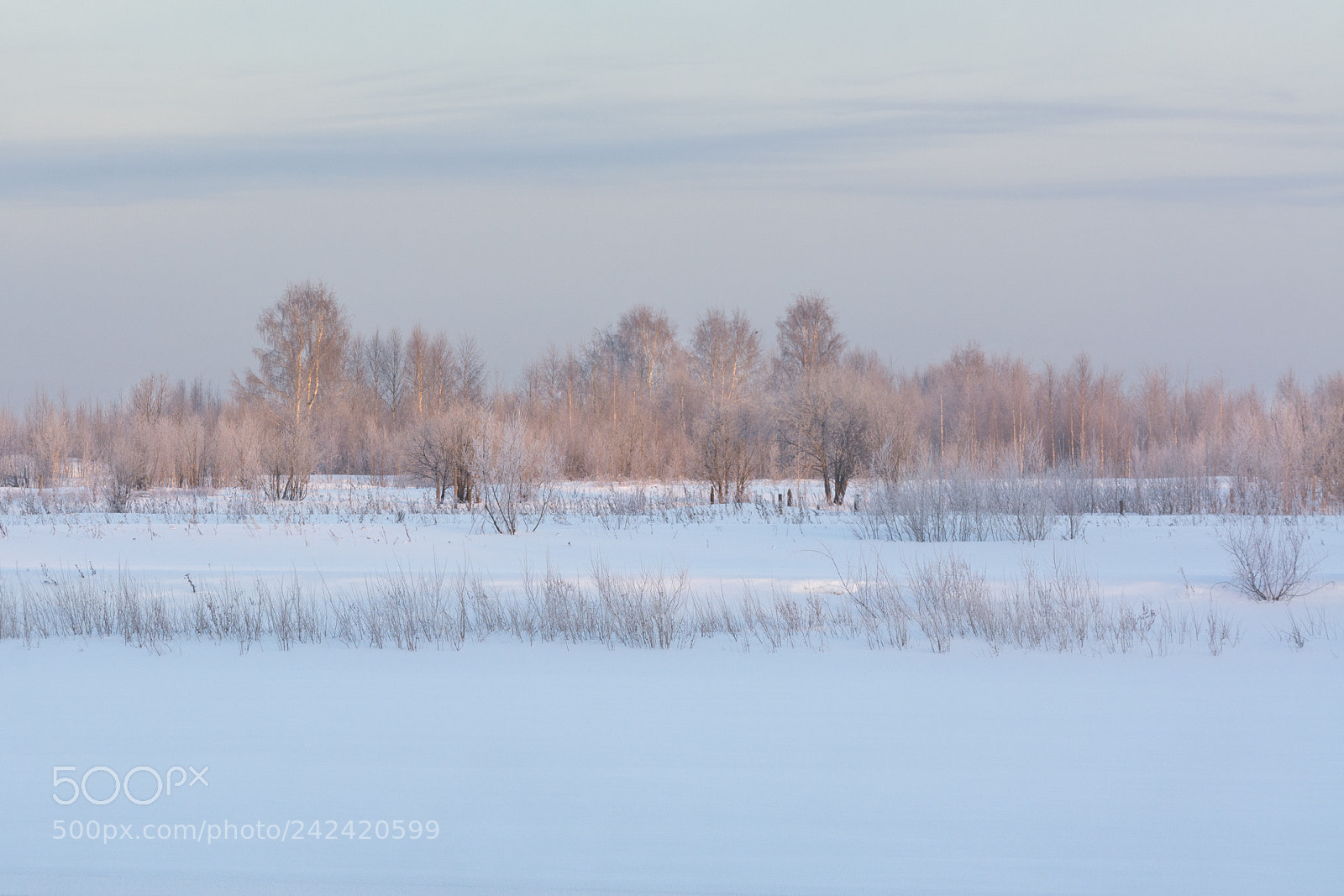 Nikon D7100 sample photo. Winter landscape photography