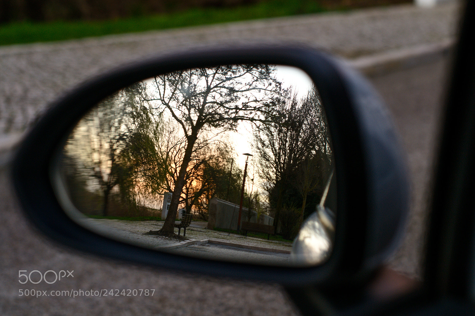 Nikon D3100 sample photo. Untitled photography