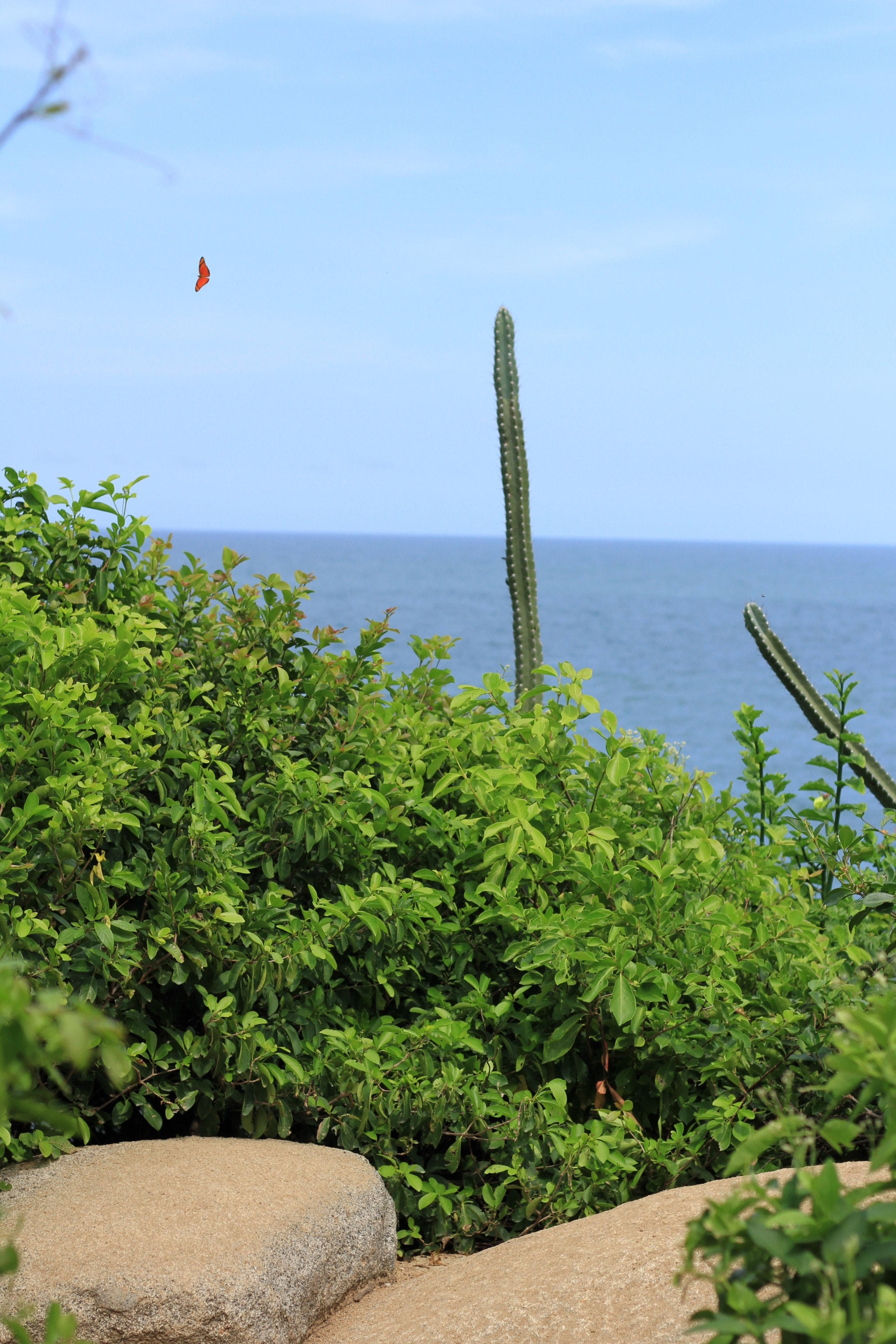 Canon EOS 7D + Canon EF 50mm F1.8 STM sample photo. Img photography