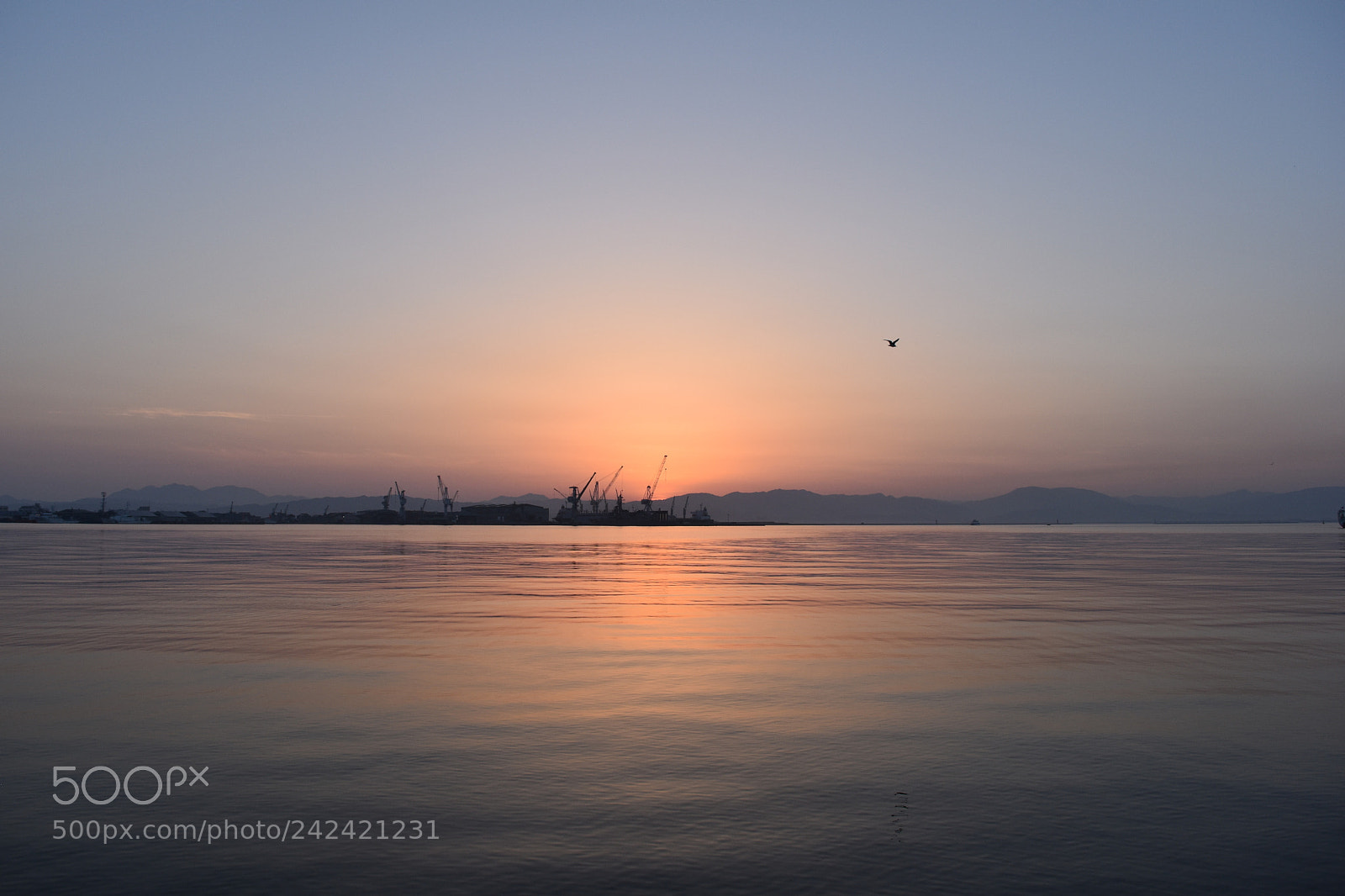 Nikon D5500 sample photo. 黄昏時 photography