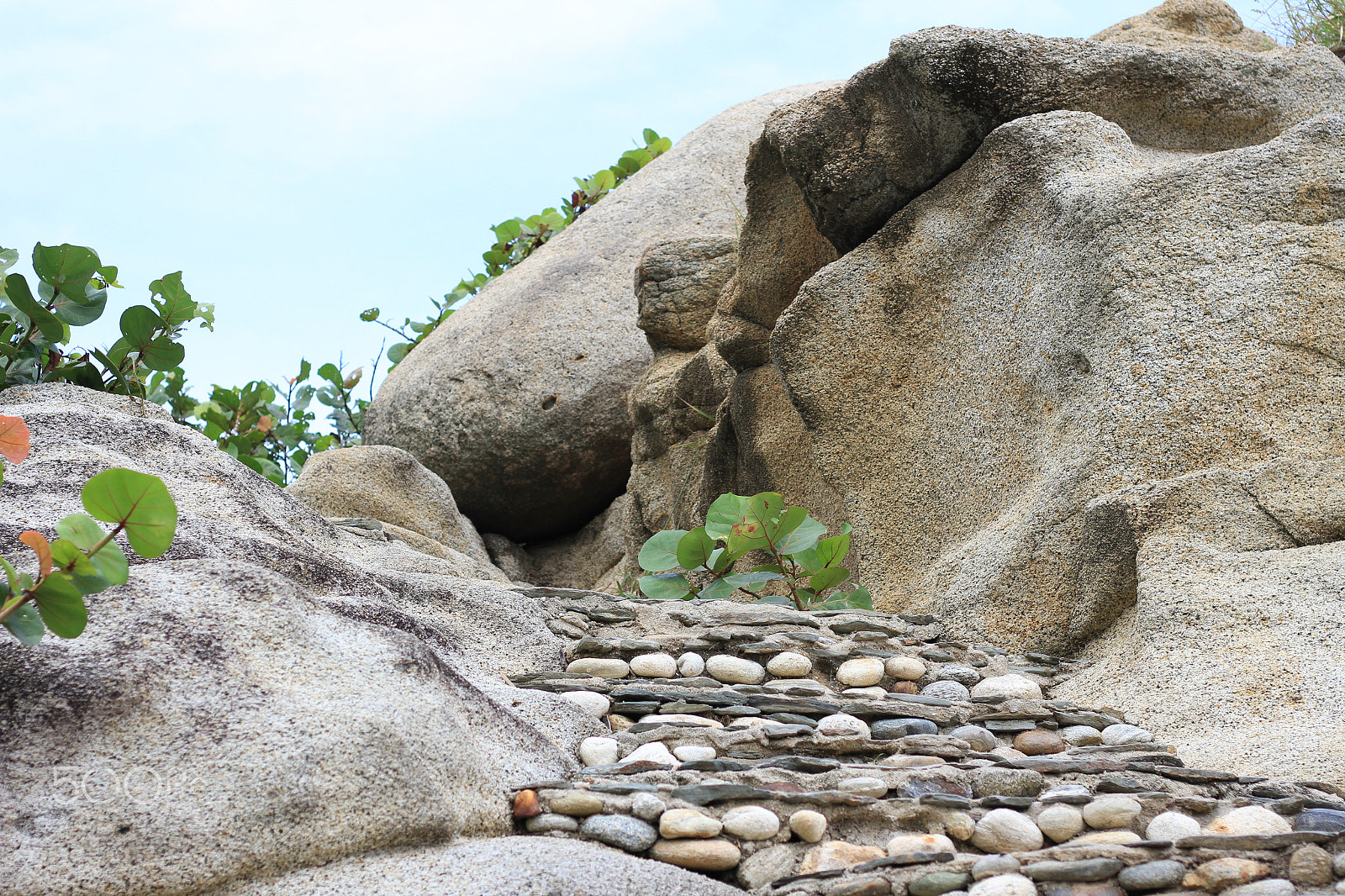 Canon EOS 7D + Canon EF 50mm F1.8 STM sample photo. Img photography