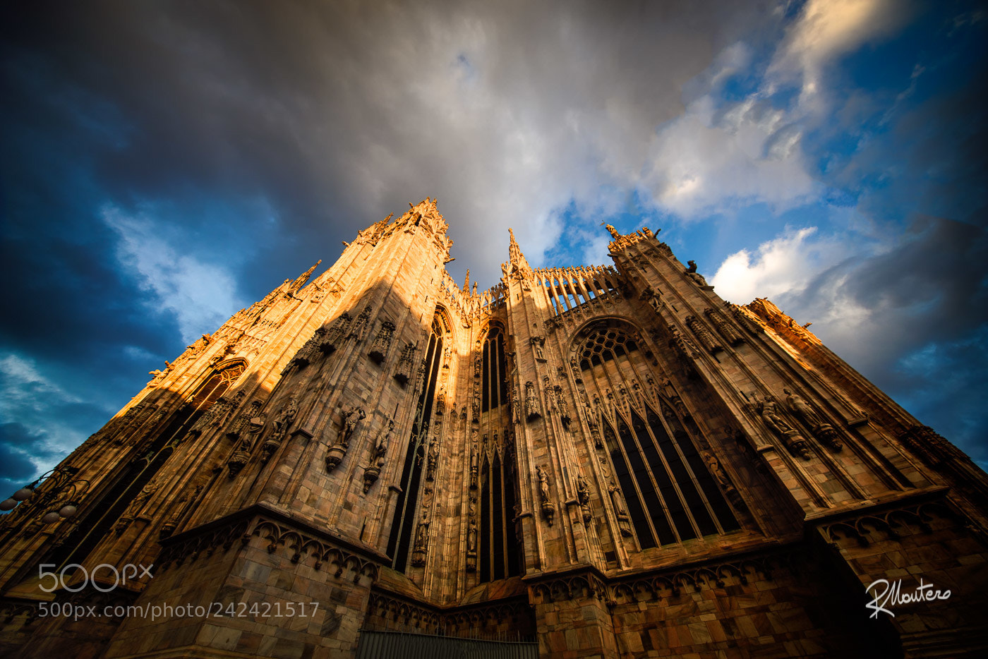 Nikon D810 sample photo. Look up! photography