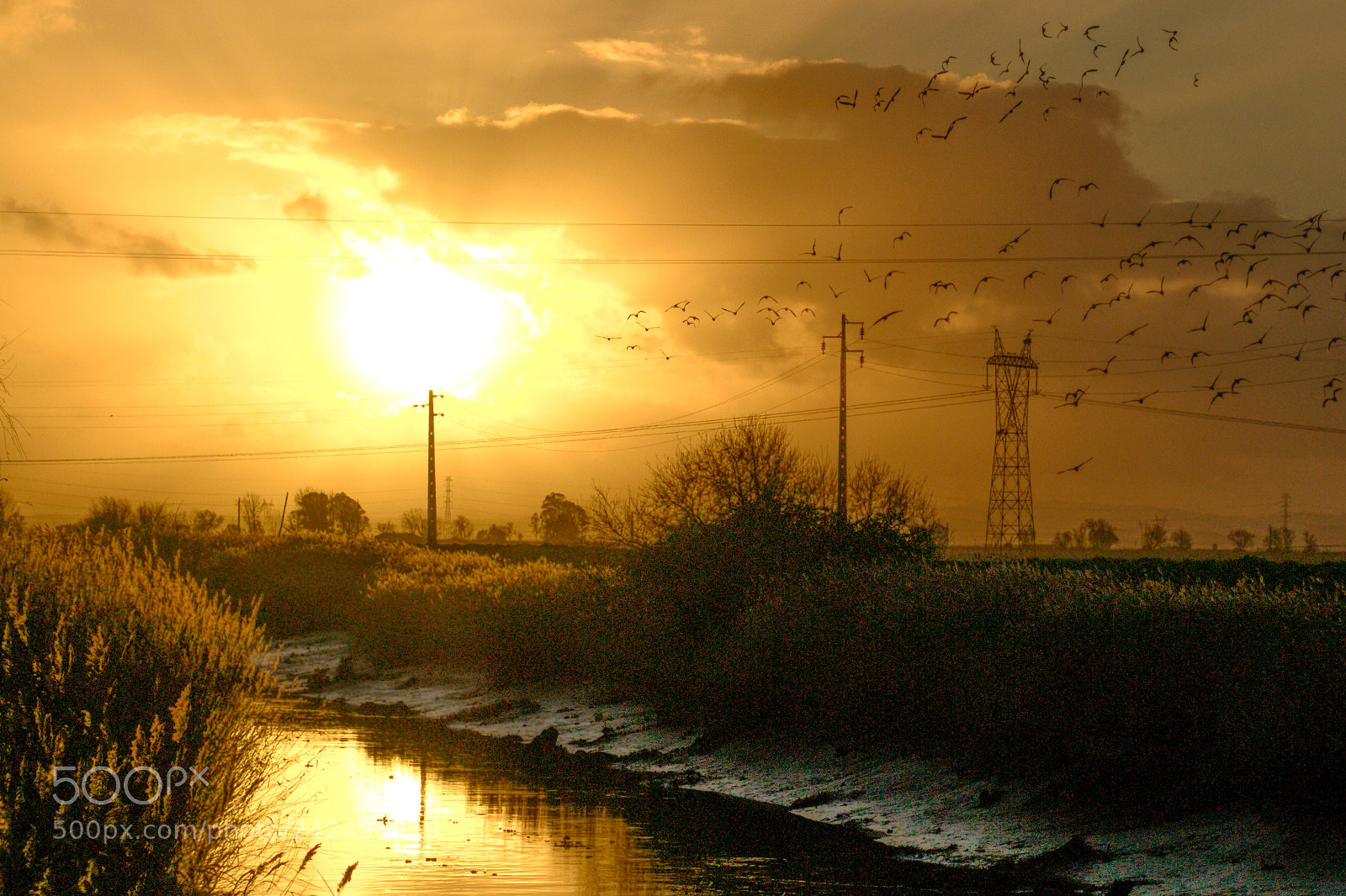 Nikon D3100 sample photo. River sunset photography