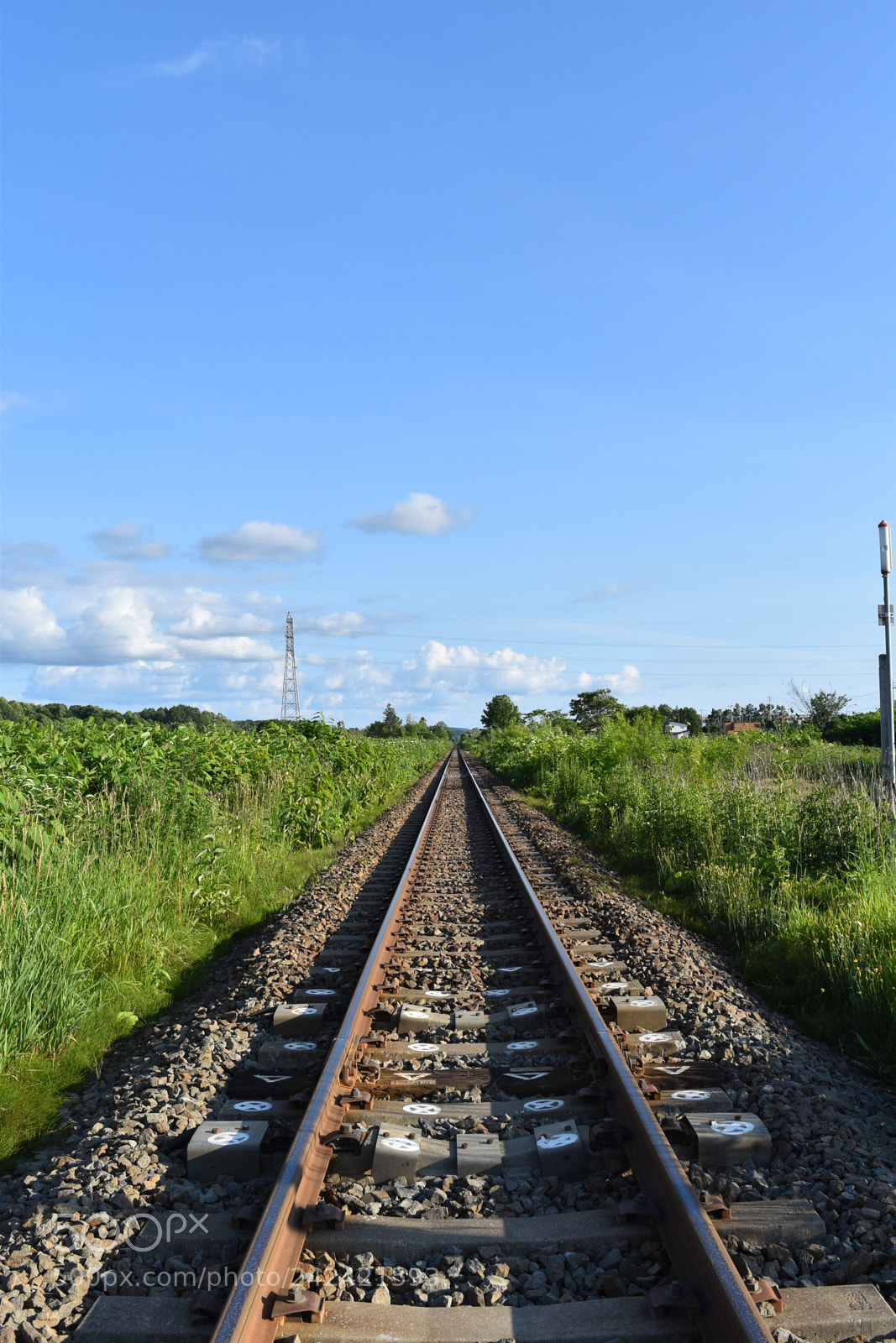 Nikon D5500 sample photo. 線路 photography