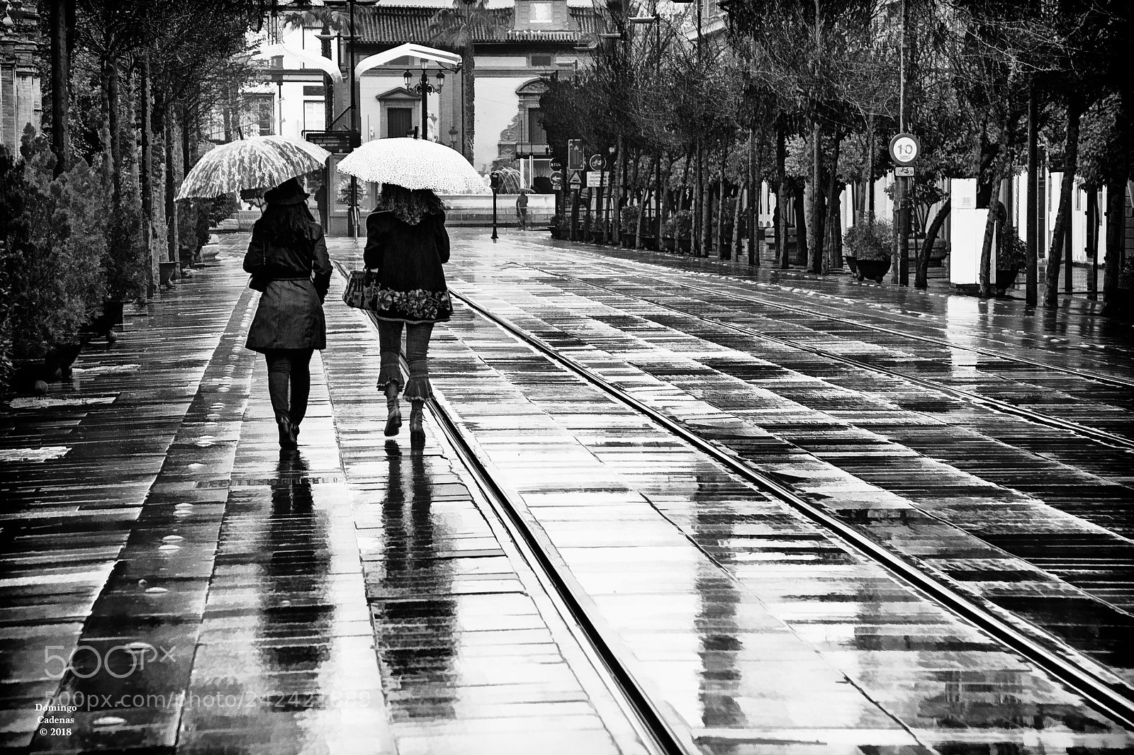 Olympus OM-D E-M10 II sample photo. Dia de lluvia photography