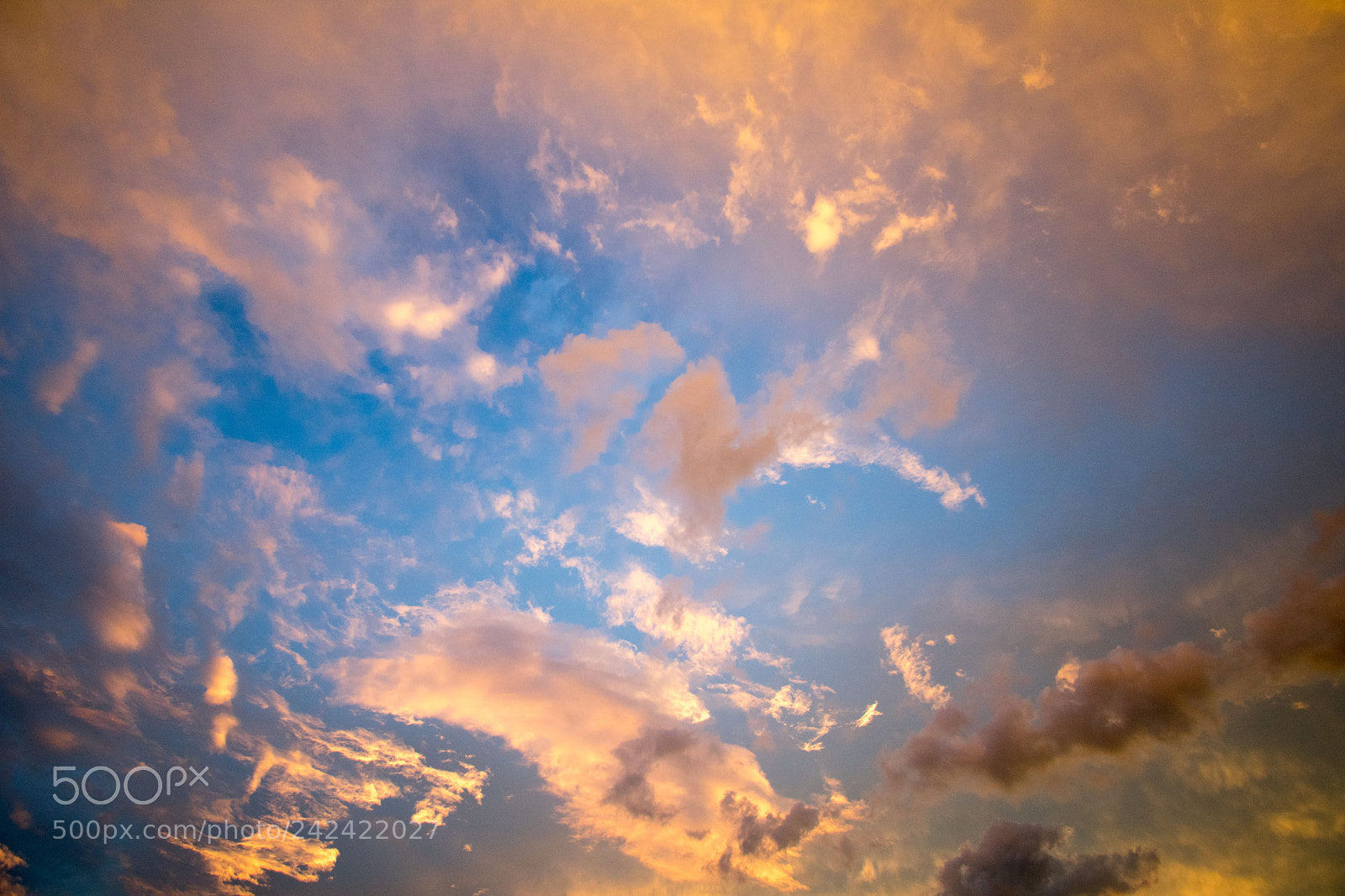 Nikon D3400 sample photo. Farragut sunset photography