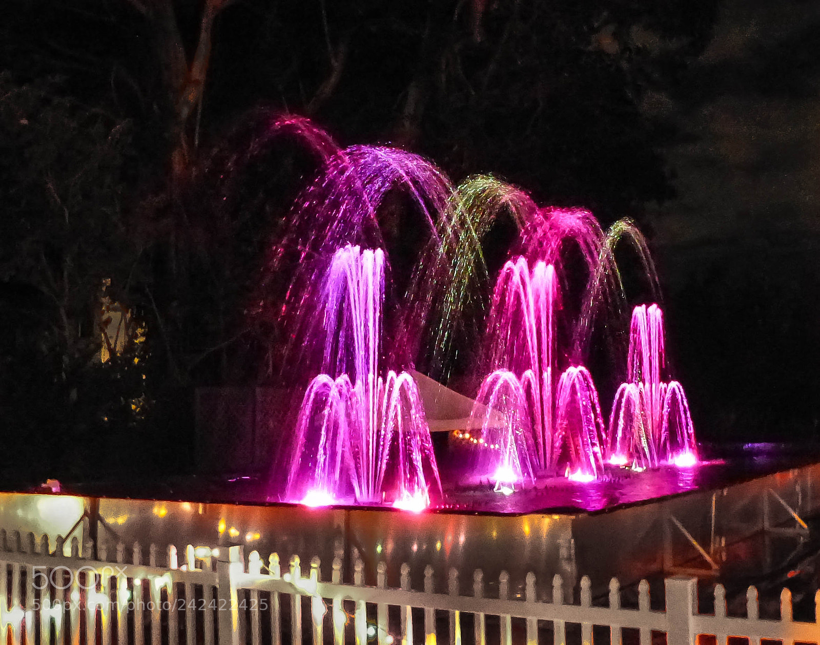 Panasonic Lumix DMC-FZ200 sample photo. Hot pink photography