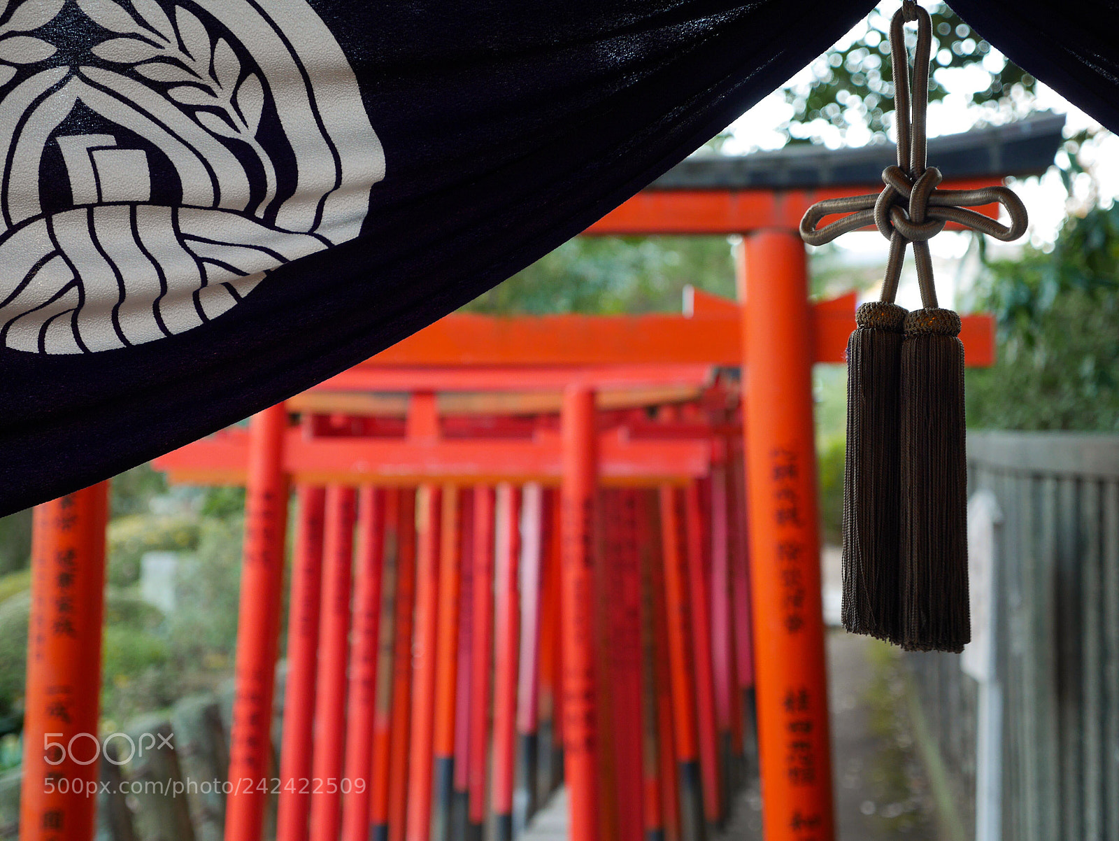Panasonic Lumix DMC-GX7 sample photo. Start the new year photography