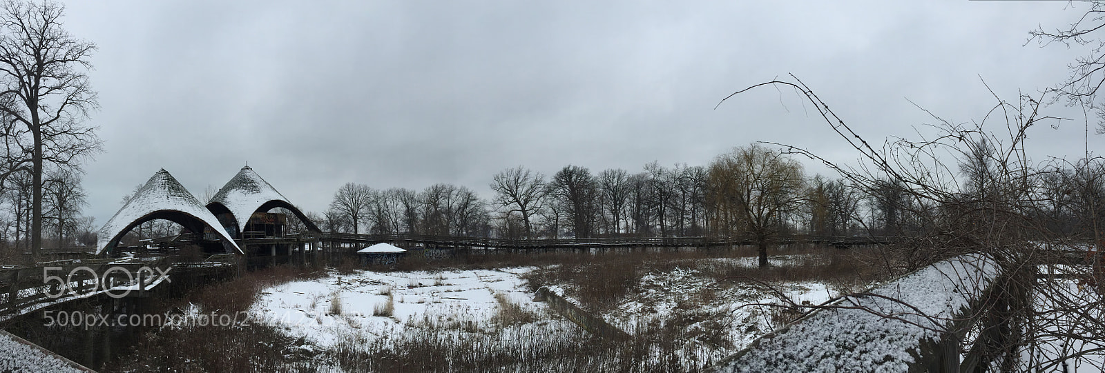 Apple iPhone 6 Plus sample photo. Detroit belle isle zoo photography