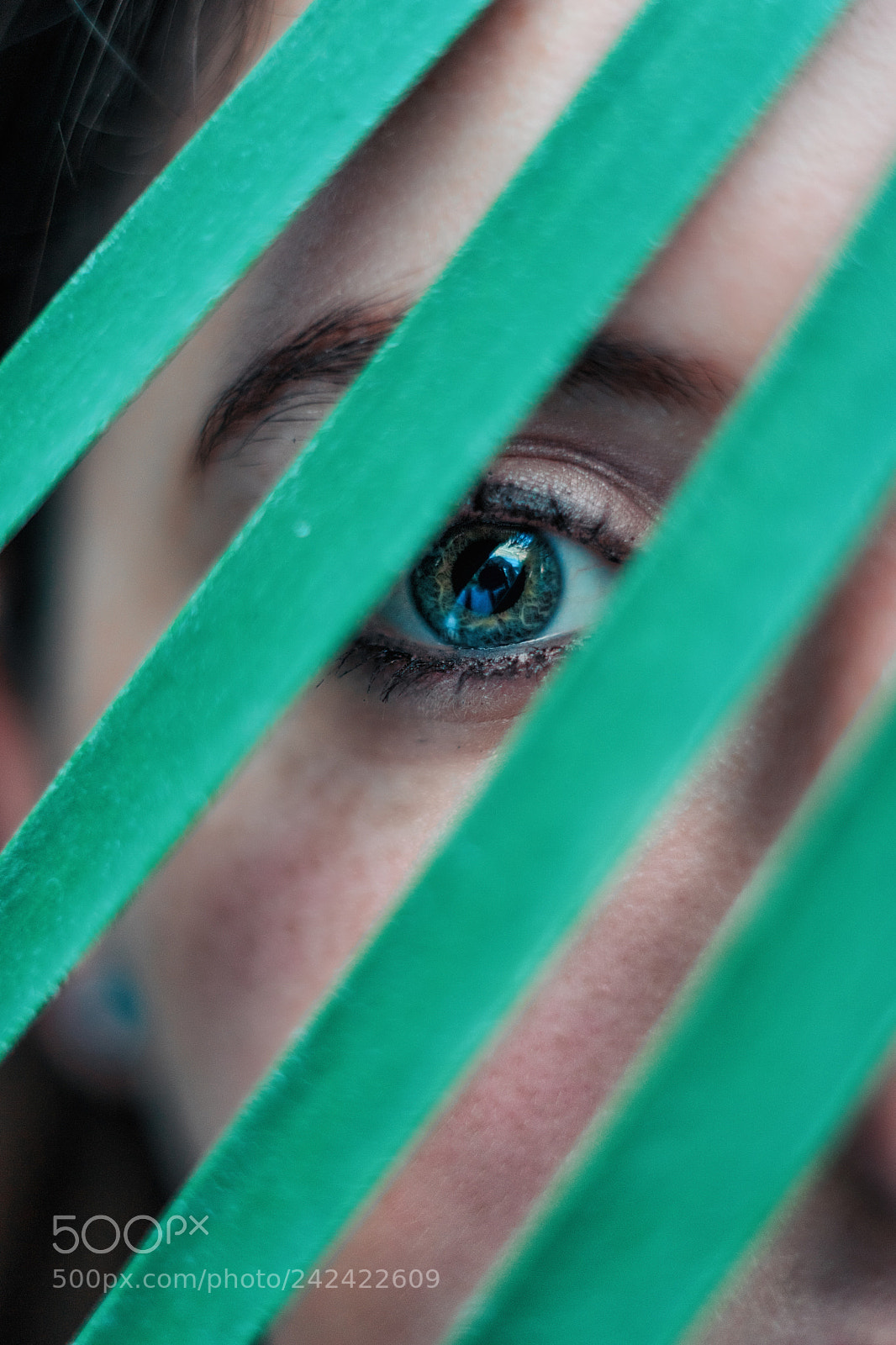 Sony a7 II sample photo. Peek a boo photography