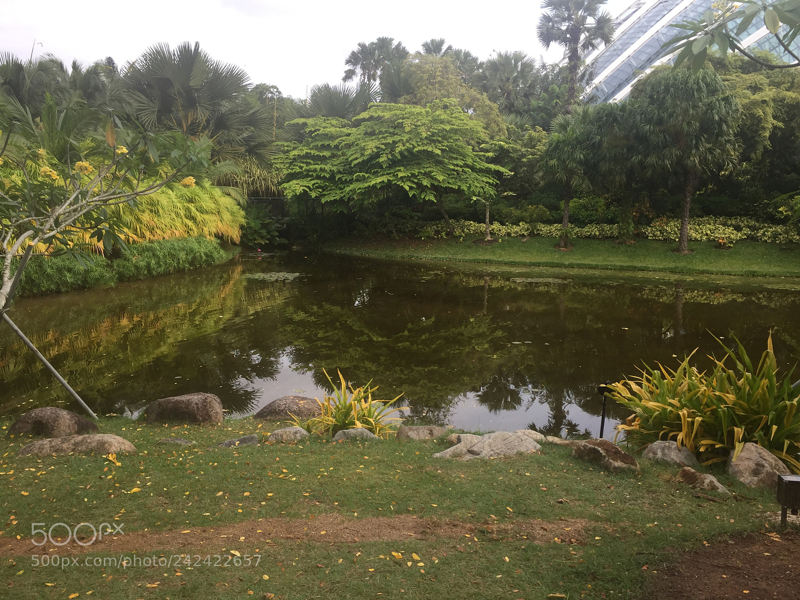 Apple iPhone 6 sample photo. Untitled photography