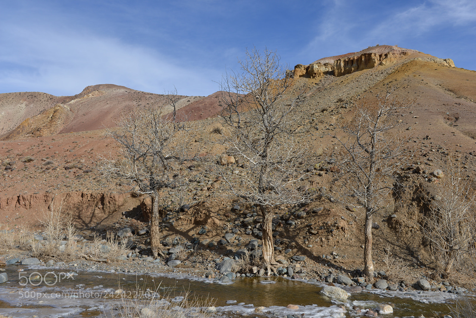Nikon D800E sample photo. Altai mars photography
