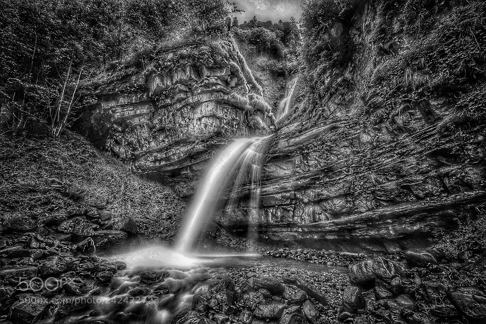 Nikon D810 sample photo. Along with fault photography