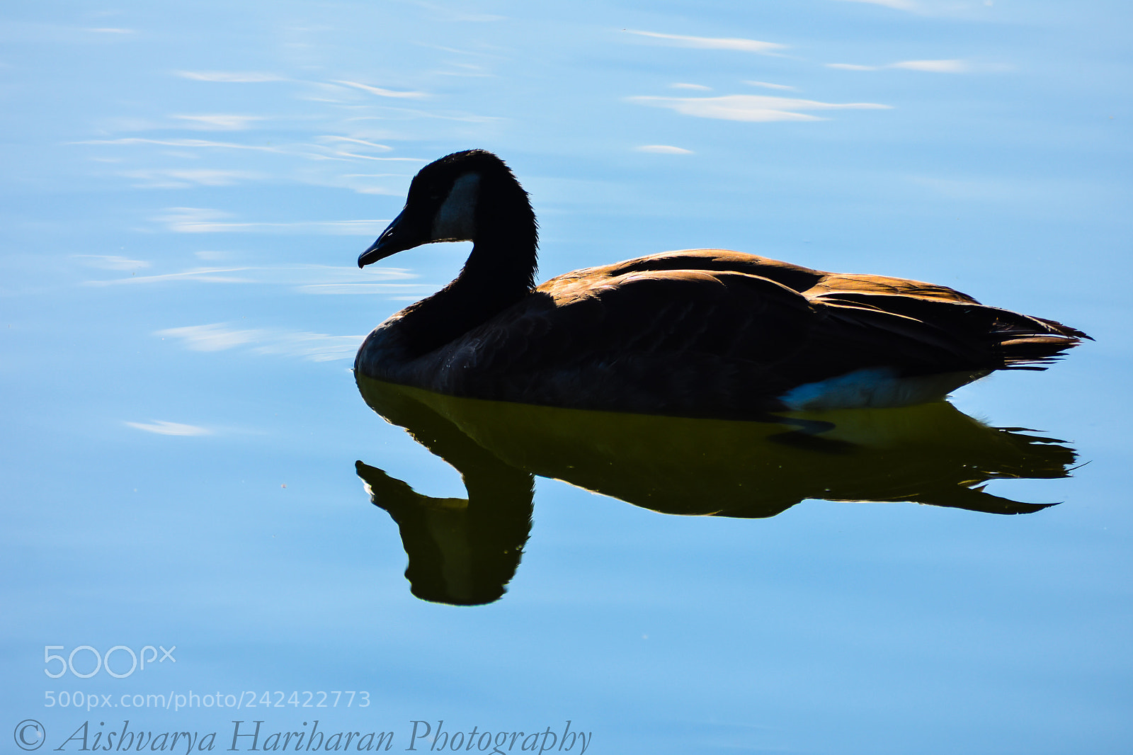 Nikon D3400 sample photo. Pic photography