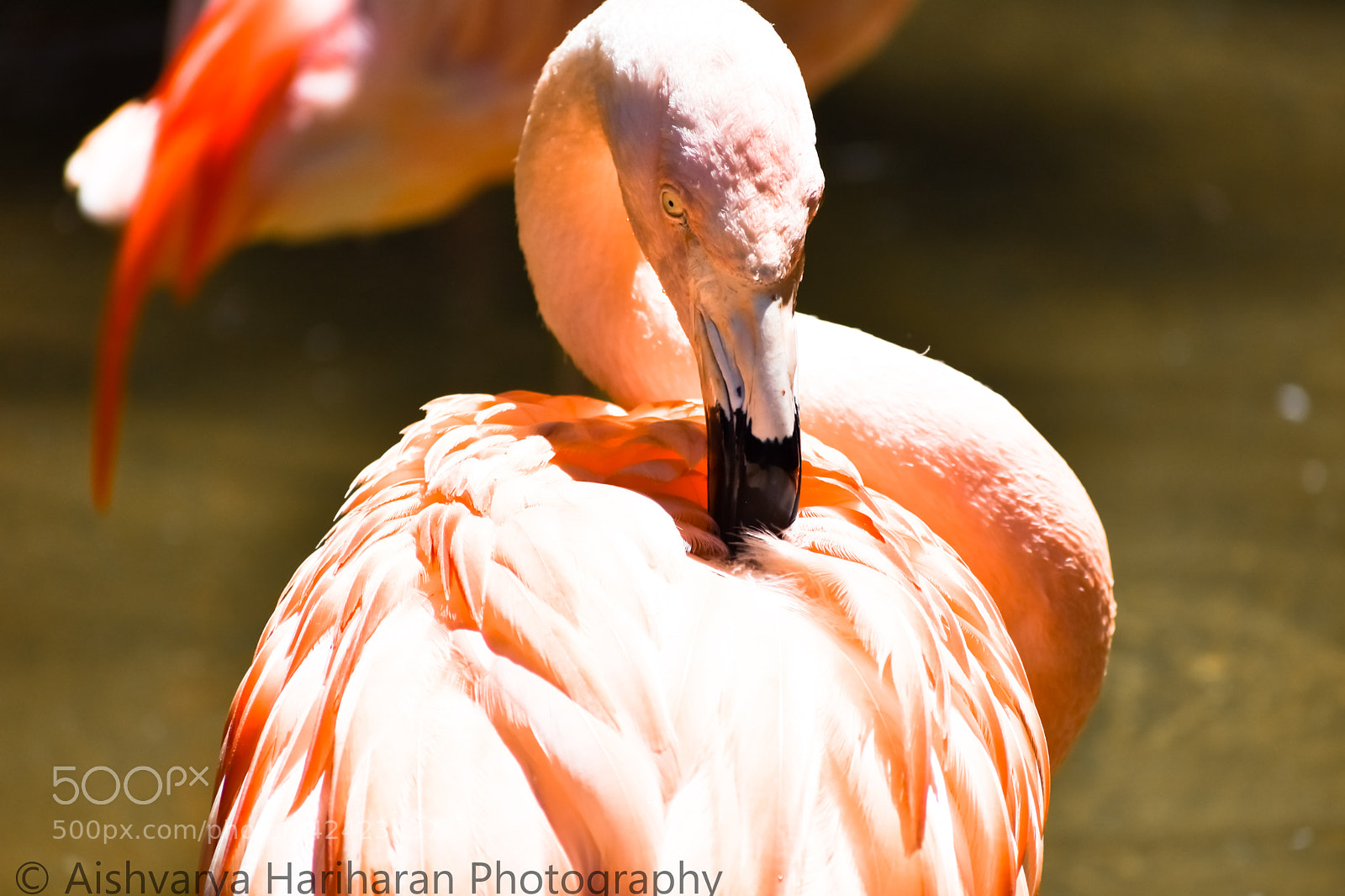 Nikon D3400 sample photo. Pic photography