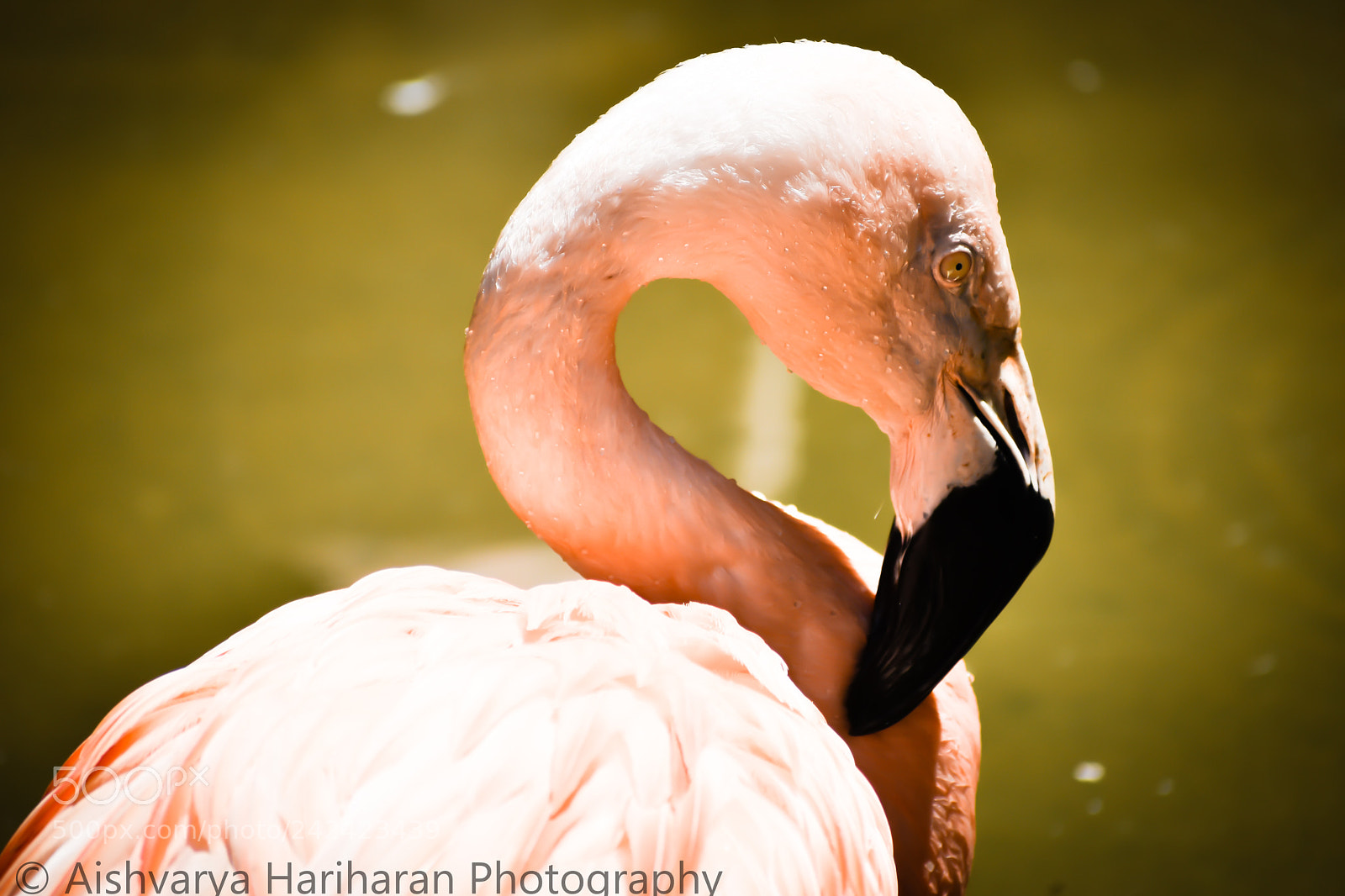Nikon D3400 sample photo. Pic photography