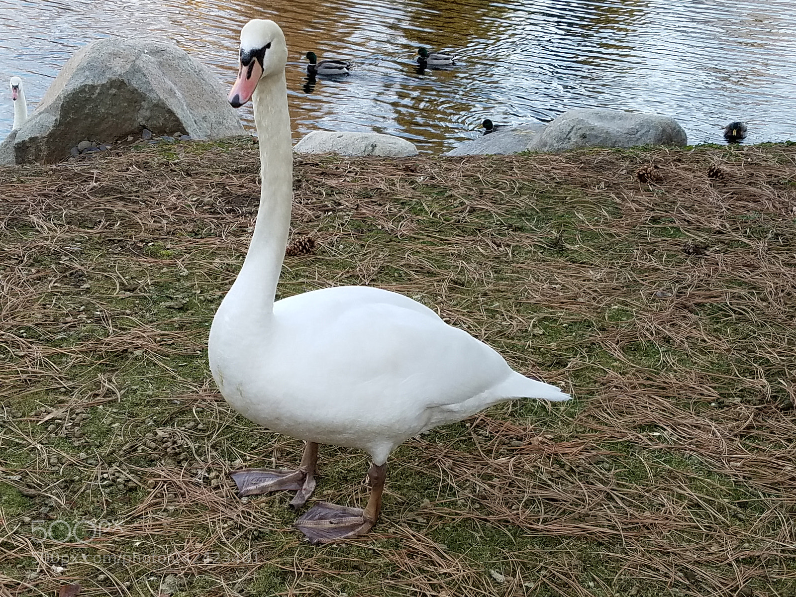Samsung Galaxy S7 sample photo. Untitled photography