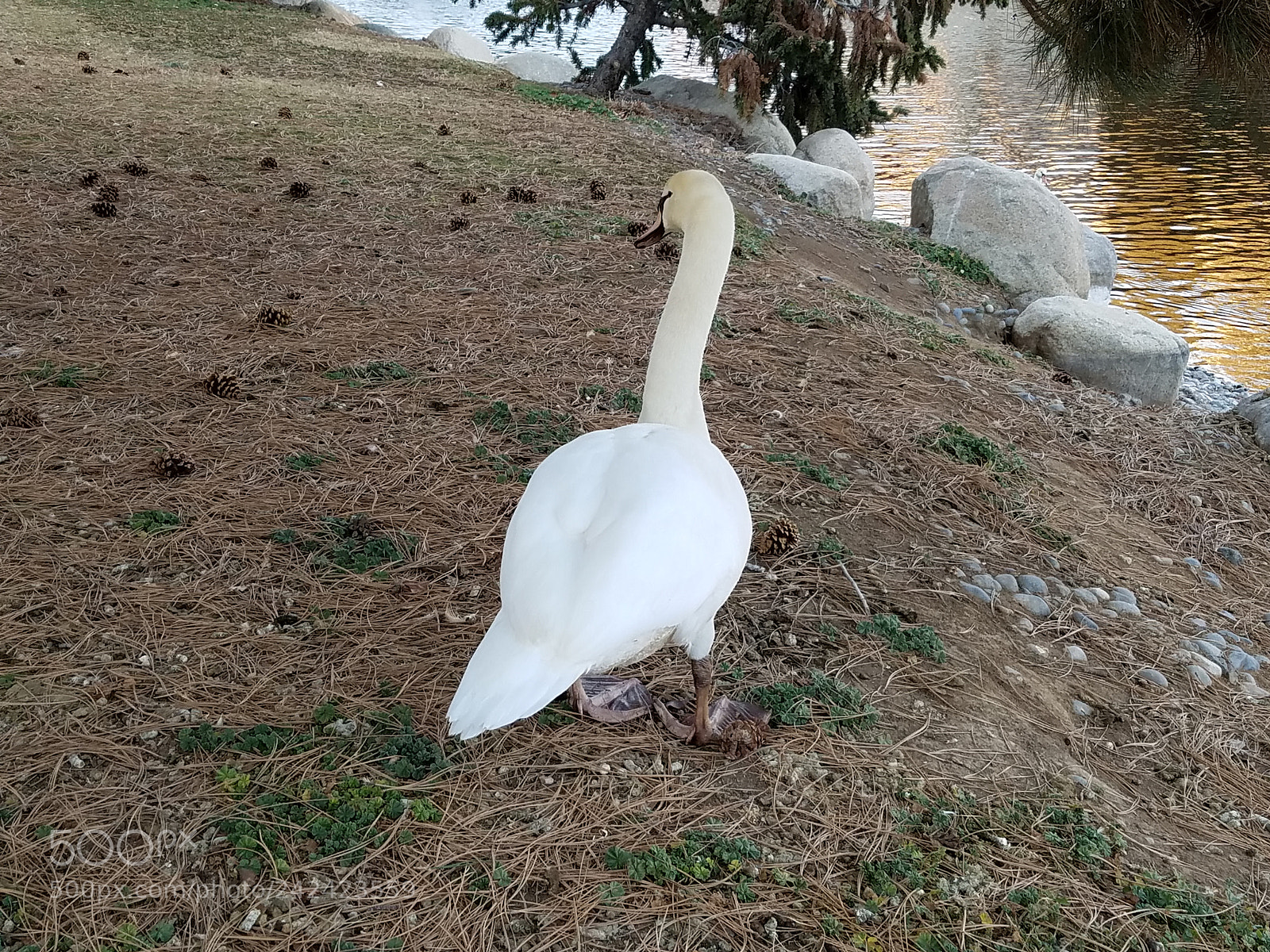 Samsung Galaxy S7 sample photo. Untitled photography