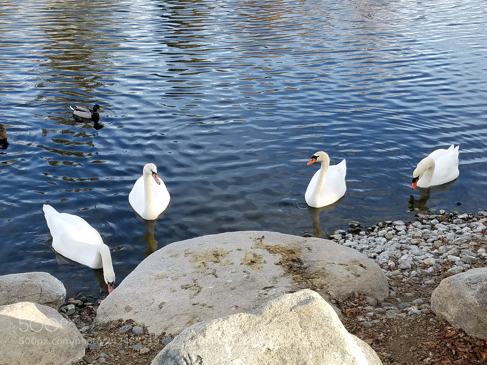 Samsung Galaxy S7 sample photo. Untitled photography