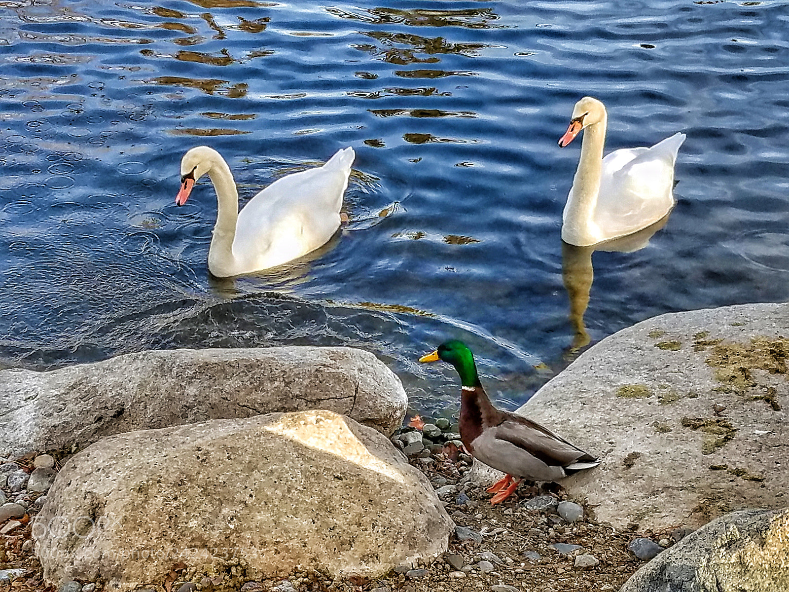 Samsung Galaxy S7 sample photo. Untitled photography