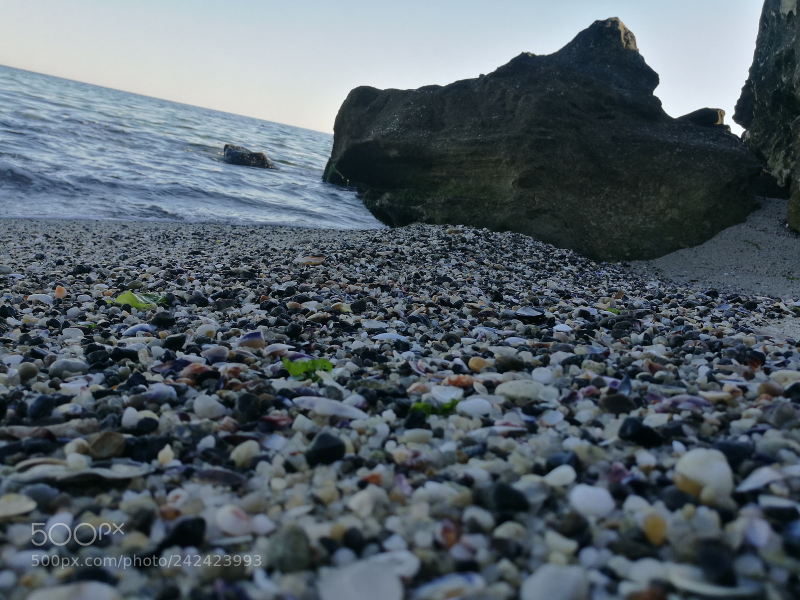 HUAWEI P9 sample photo. 01.01.2018 photography