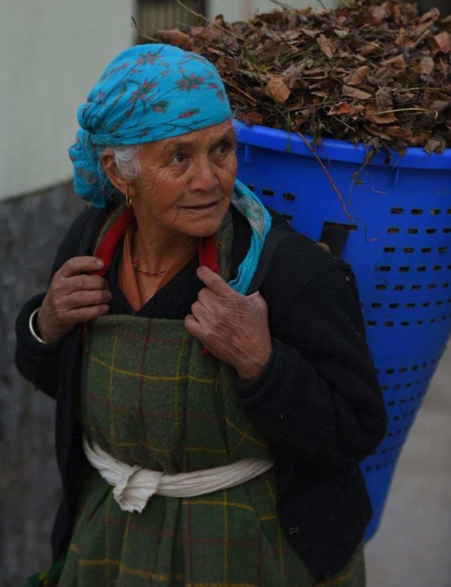 Nikon D750 + Sigma 70-200mm F2.8 EX DG OS HSM sample photo. Earning for todays bread photography