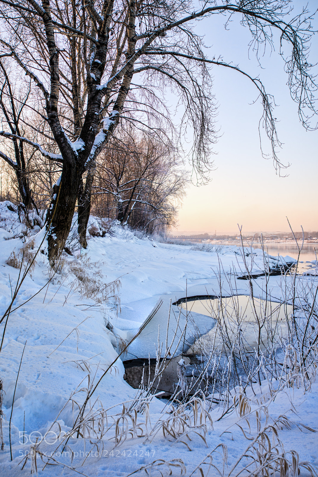 Nikon D7200 sample photo. Snowy landscape with trees photography