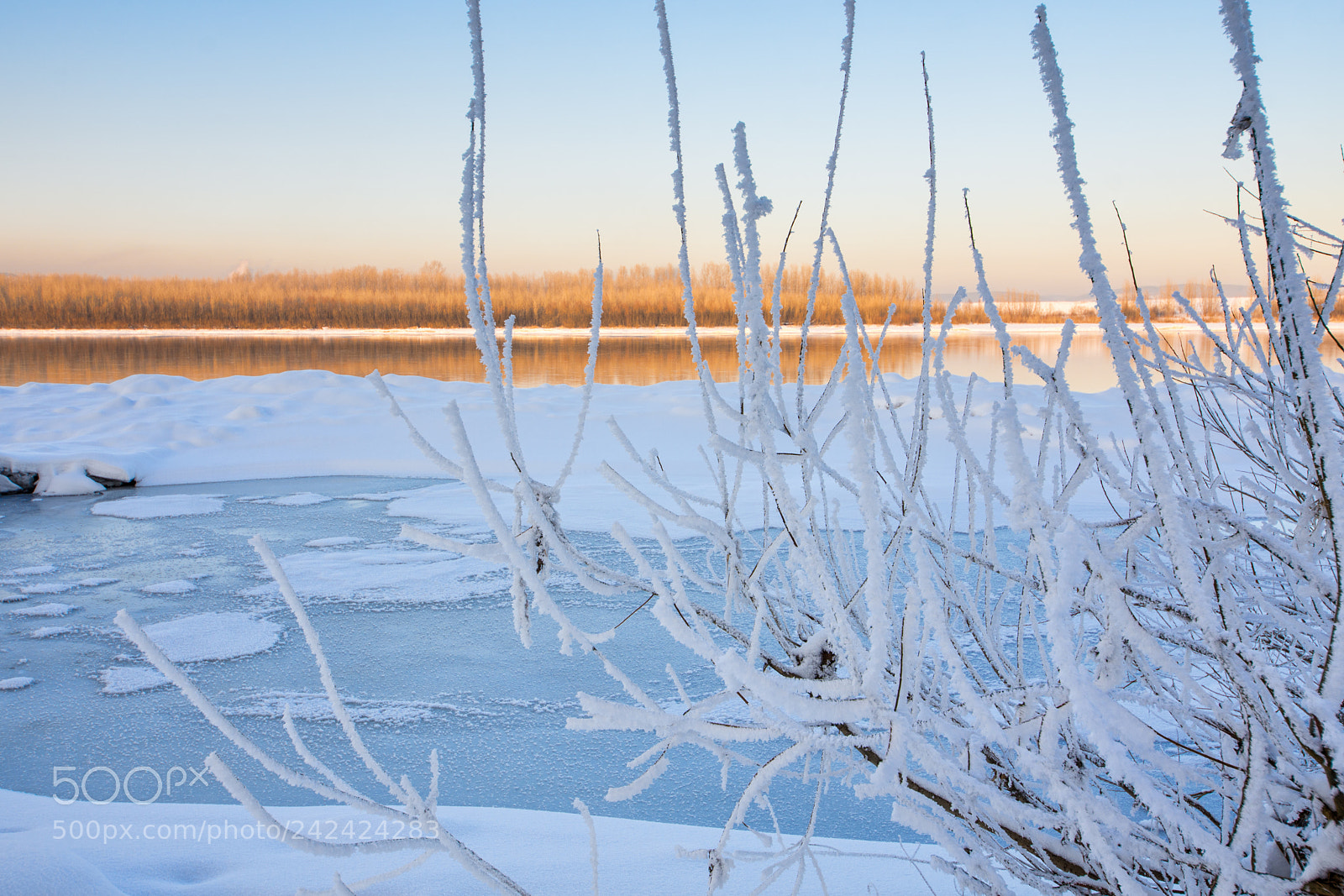 Nikon D7200 sample photo. Snowy landscape with trees photography