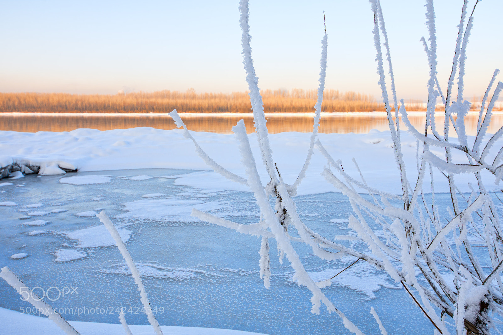 Nikon D7200 sample photo. Snowy landscape with trees photography