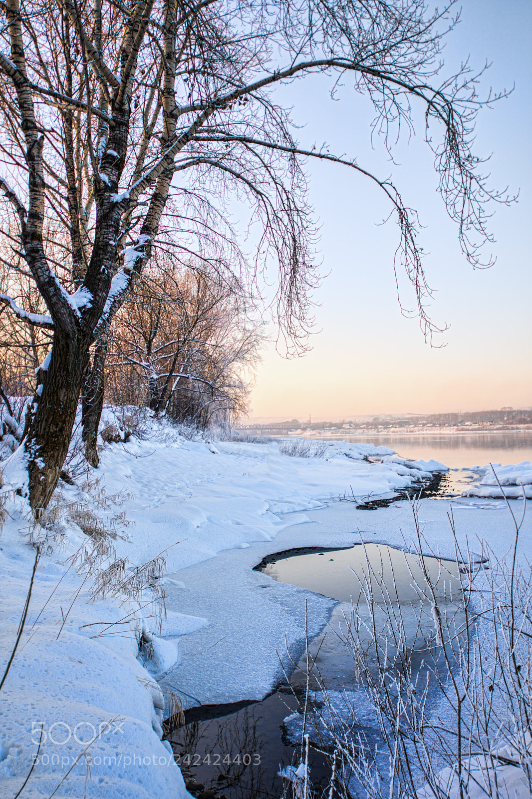 Nikon D7200 sample photo. Snowy landscape with trees photography