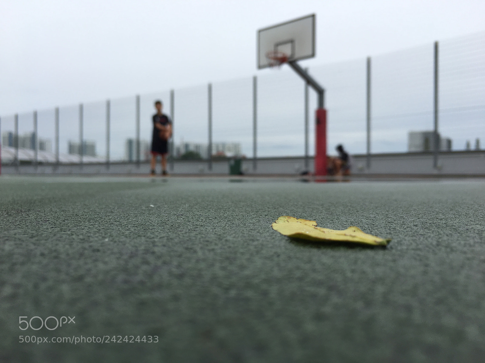 Apple iPhone 6s Plus sample photo. 01) singapore sports stadium photography