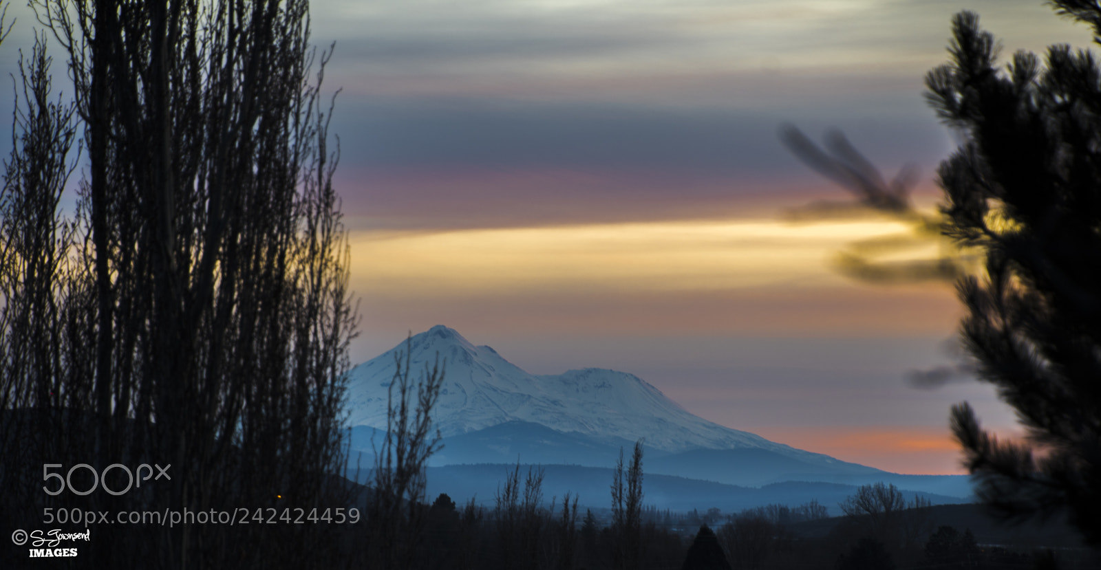 Nikon D500 sample photo. Foothill to shasta photography