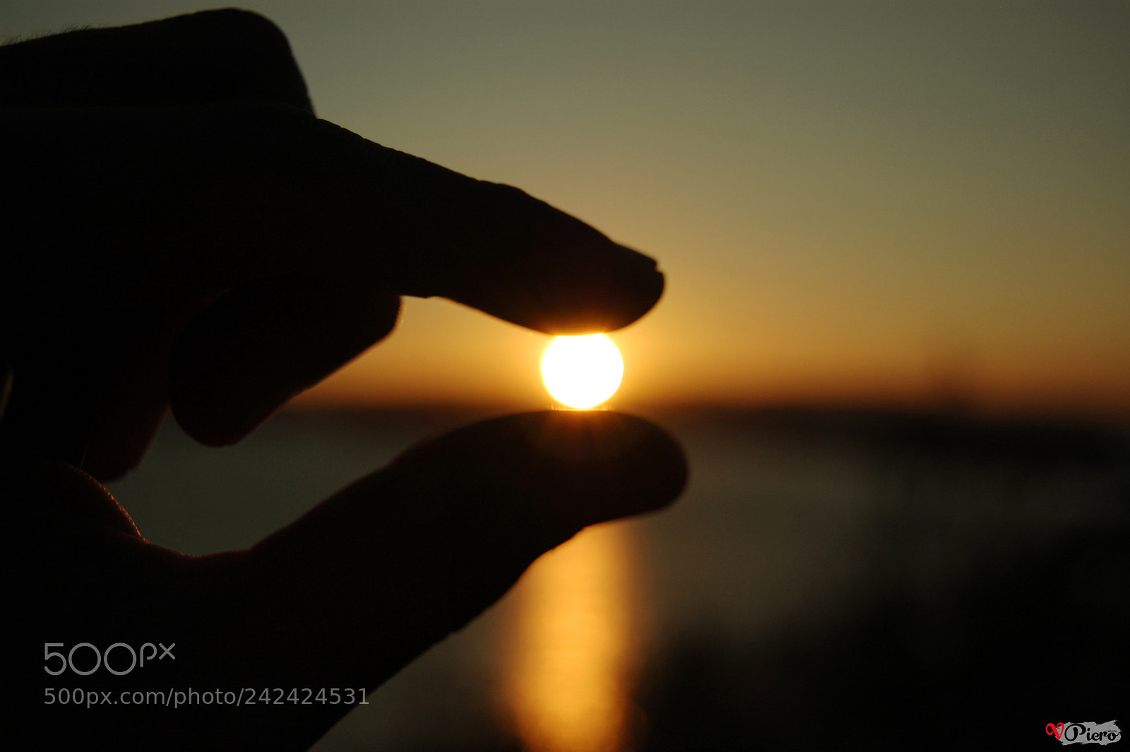 Nikon D40 sample photo. () photography