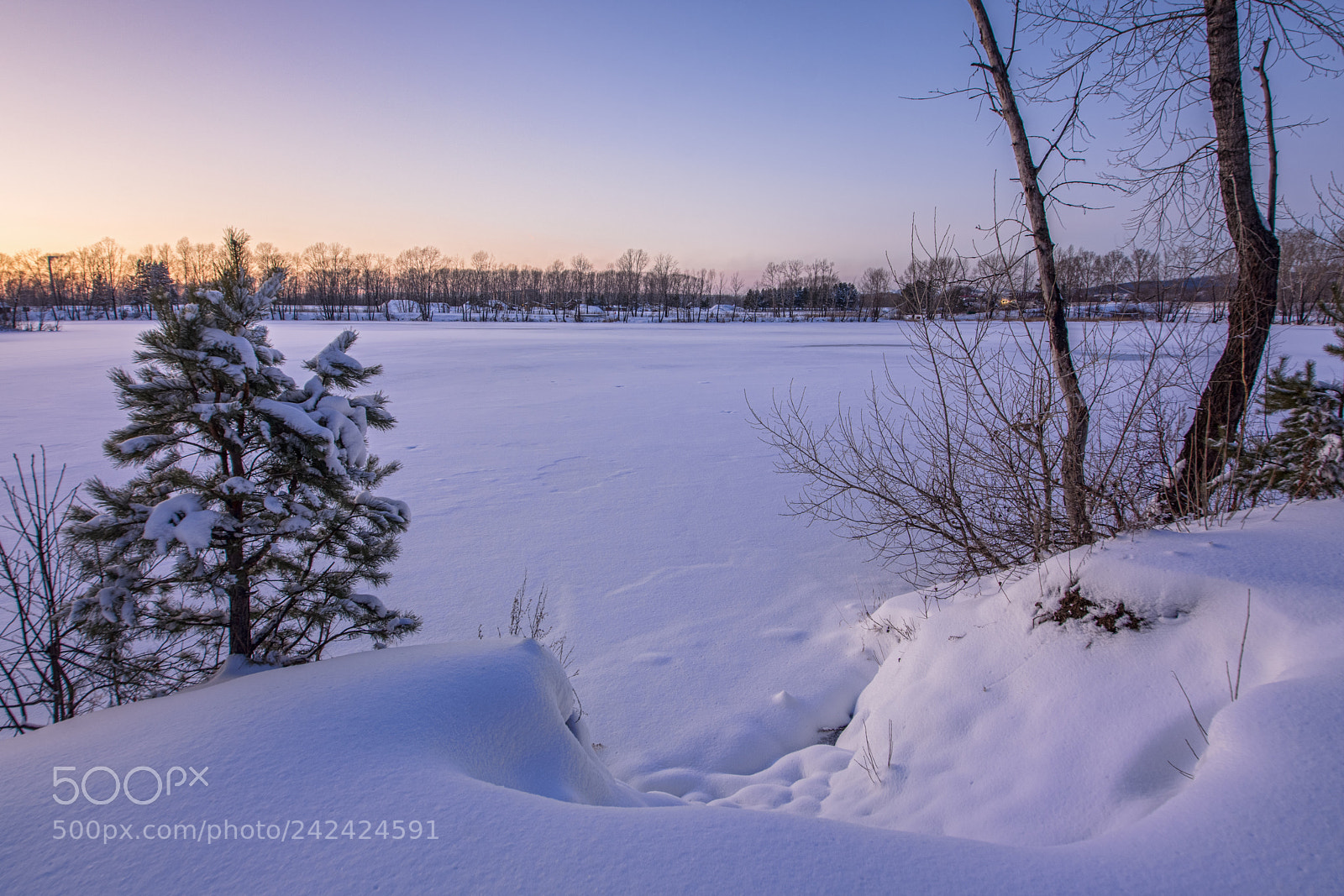 Nikon D7200 sample photo. Snowy landscape with trees photography