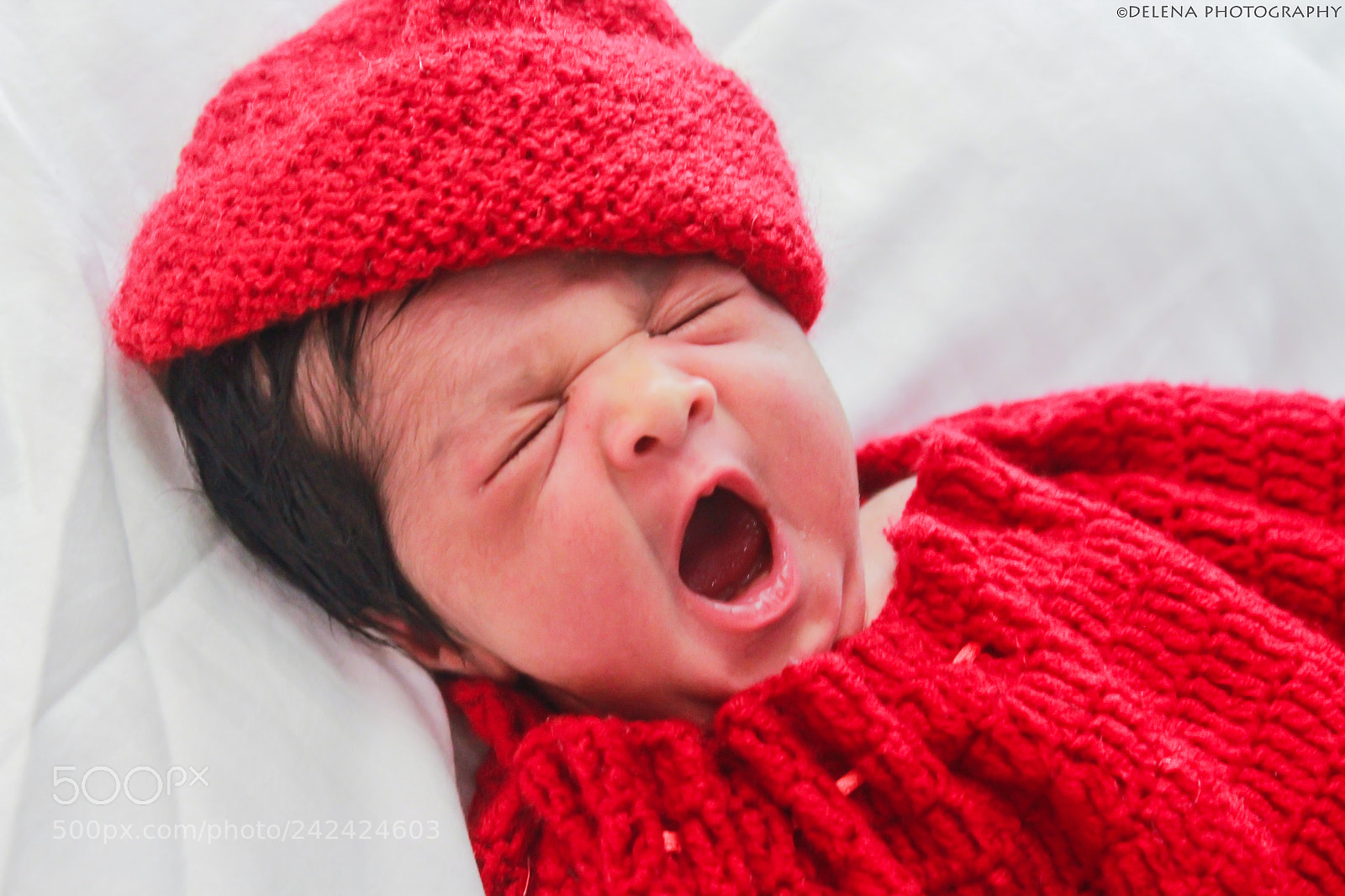 Canon EOS 1300D (EOS Rebel T6 / EOS Kiss X80) sample photo. The yawn photography