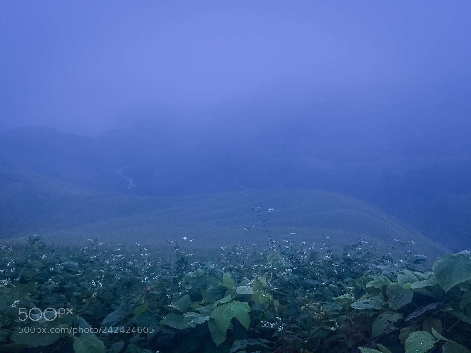 Apple iPad mini 4 sample photo. The longji zhuang ethnic photography