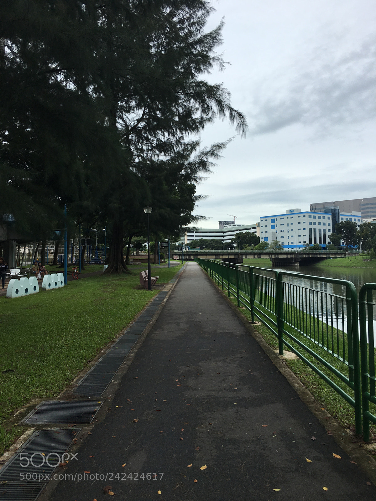 Apple iPhone 6s Plus sample photo. 03) kallang park photography