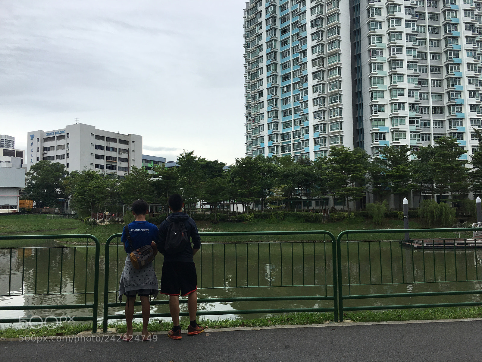 Apple iPhone 6s Plus sample photo. 04) kallang river photography