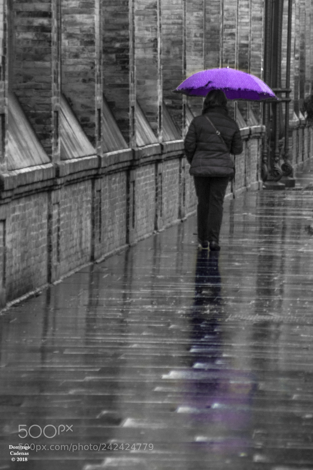 Olympus OM-D E-M10 II sample photo. Dia de lluvia photography