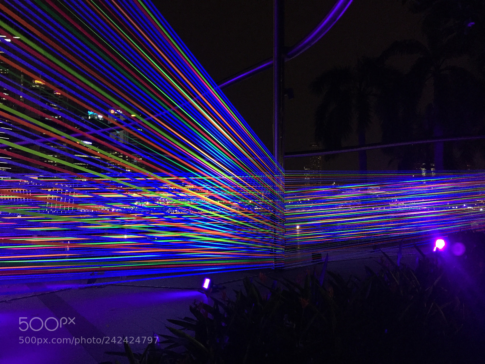 Apple iPhone 6 sample photo. 05 ilight event at photography