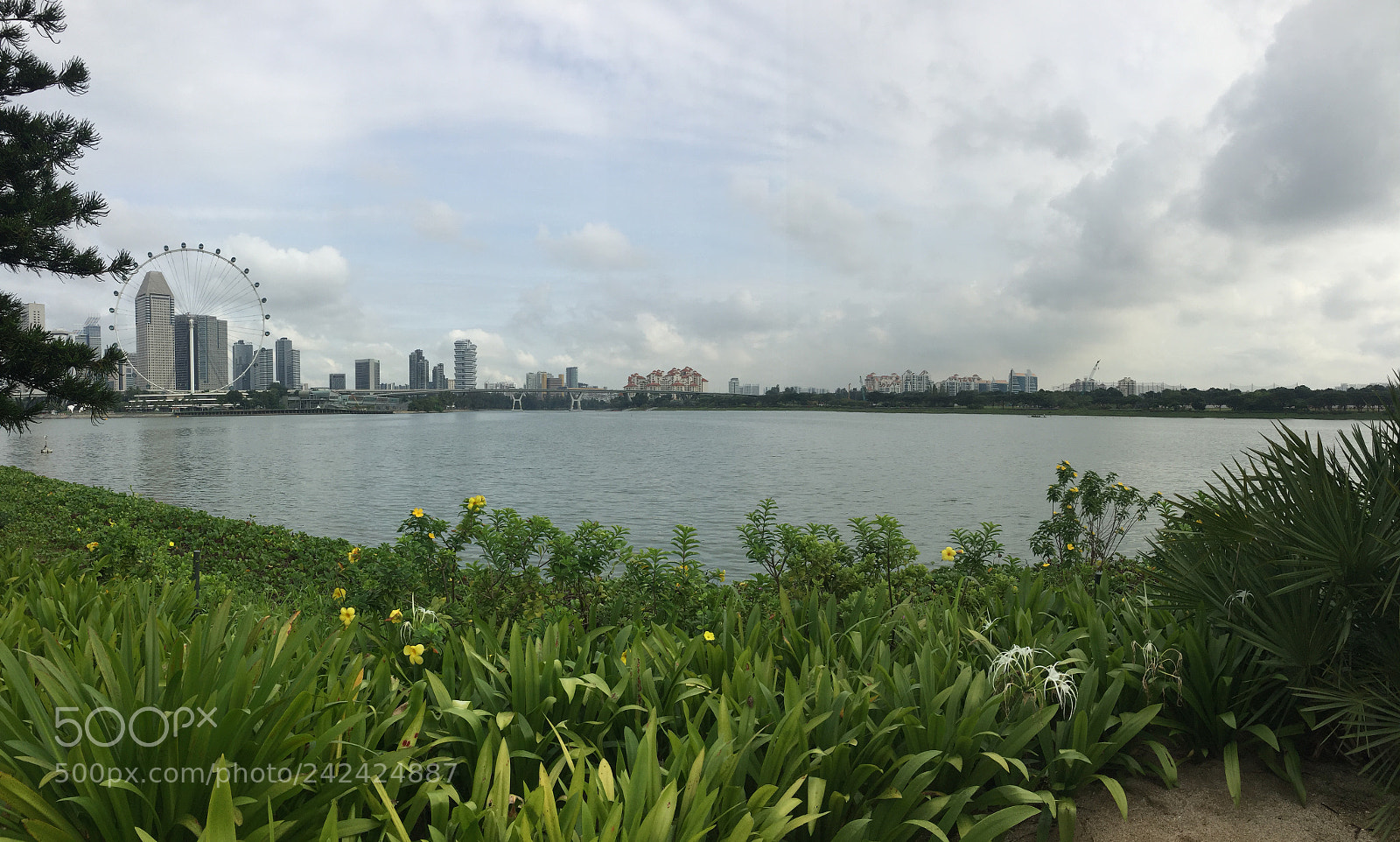 Apple iPhone 6 sample photo. 06) gardens by the bay photography