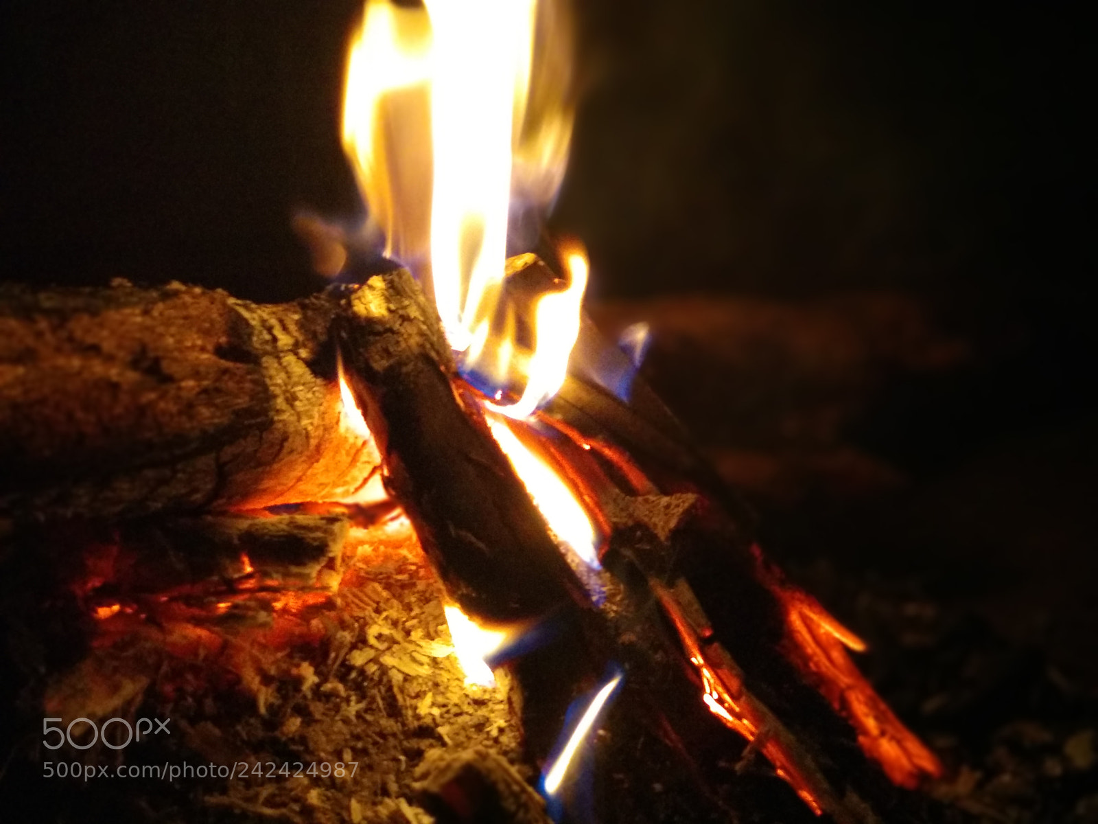 Xiaomi Mi A1 sample photo. Burning wood photography