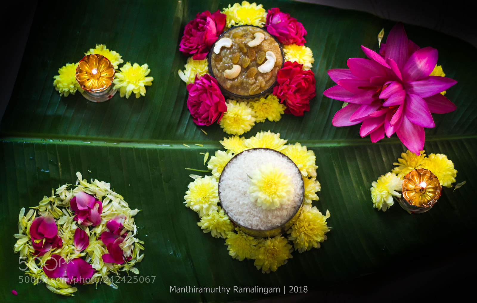 Canon EOS 77D (EOS 9000D / EOS 770D) sample photo. Pongal 'o' pongal photography