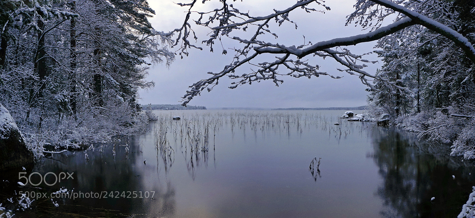 Sony a7 sample photo. First snow photography